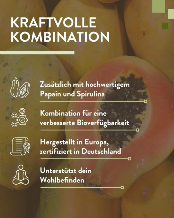 PlusVive Magnesiumcitrat Kapseln hochdosiert I 1x 180 Kapseln I 700mg Trimagnesiumdicitrat & 120mg reines Magnesium pro Kapsel I mit Papain & Spirulina I Nahrungsergänzungsmittel vegan & laborgeprüft – Bild 5