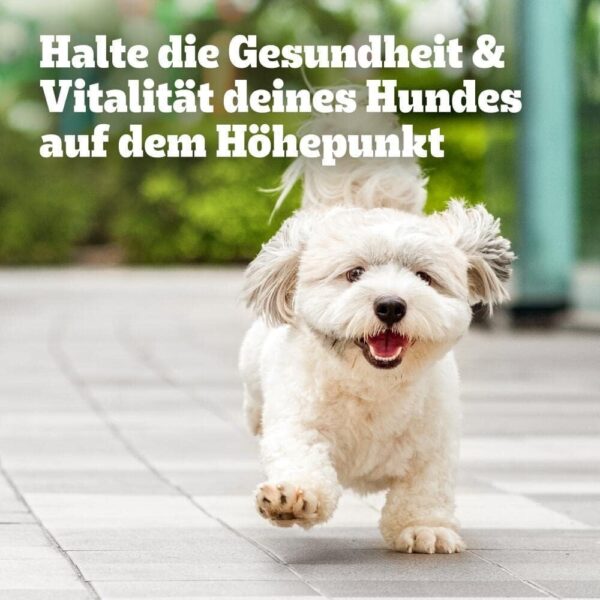 PEDIGREE Hundesnacks Multivitamins Immunsystem - Supplements zur Unterstützung des Immunsystems 30 weiche Hundeleckerlis, 180g – Bild 8