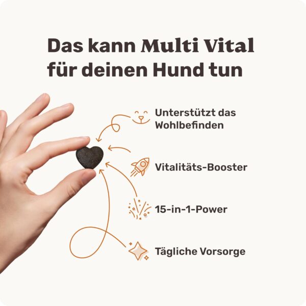 mammaly - 15 in 1 Multivitamin Komplex für Hunde - Multi Vital 2X 325g 220 Leckerli - Omega 3, Vitamin B, C, A, D3, E Snacks - Leckerlies für Hund - Unterstützt Immunsystem, Vitalität, Gehirnfunktion – Bild 3