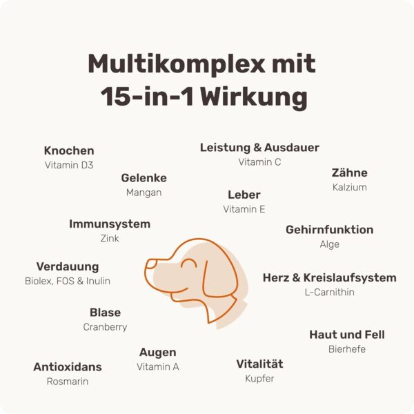 mammaly - 15 in 1 Multivitamin Komplex für Hunde - Multi Vital 2X 325g 220 Leckerli - Omega 3, Vitamin B, C, A, D3, E Snacks - Leckerlies für Hund - Unterstützt Immunsystem, Vitalität, Gehirnfunktion – Bild 5