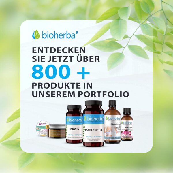 3 Stk. Melatonin Einschlafspray 50ml mit Lavendel, Hopfen und Vitamin B6 – Alkoholfrei – Vegane Natürliche Formel für Erwachsene von BIOHERBA – Bild 8
