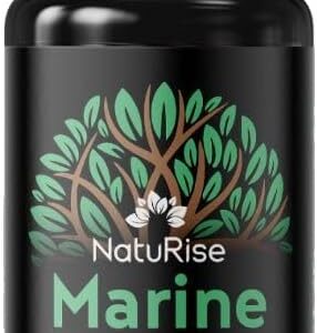 NatuRise® Omega 3 Vegan - Algenöl - 1884mg DHA, EPA & DPA - Hochdosiert - 100 ml - Laborgeprüft – Triglycerid-Form - Pipette mit Dosierskala - UV-Glas (Blutorange + Zitrone)
