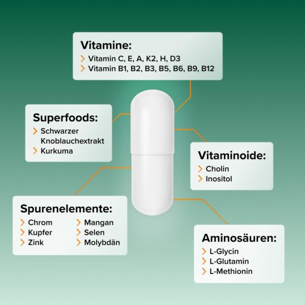 Intensive Multivitamin-Komplex 700mg I Hochdosierte Premium-Kapseln I Bioaktive Vitamine A-Z, Mineralien I Made in Germany I Hohe Bioverfügbarkeit – Bild 3