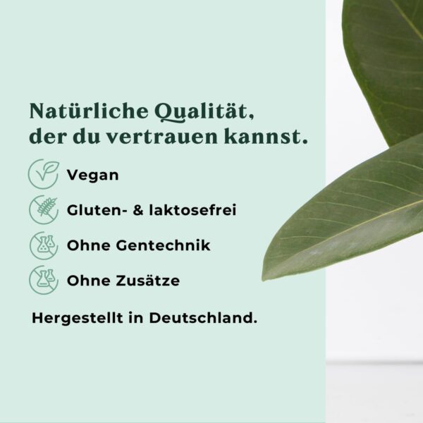 Vitamin D3 K2 Tropfen hochdosiert & vegan - 1.000 IE D3 + 25µg K2 MK7 (99,9% all-trans) + MCT-Öl - Sonnenvitamin D (Cholecalciferol) für Knochen und Immunsystem - 50 ml flüssig ohne Zusätze – Bild 6