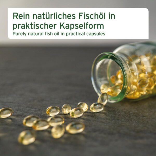 AniForte Lachsöl Kapseln für Hunde & Katzen 200 Stück – wertvolles Omega-3 Fischöl, Stoffwechsel & Knochenaufbau unterstützend, Barf Ergänzung, glänzendes Fell, Vitamine, Salmon Oil Dogs – Bild 2