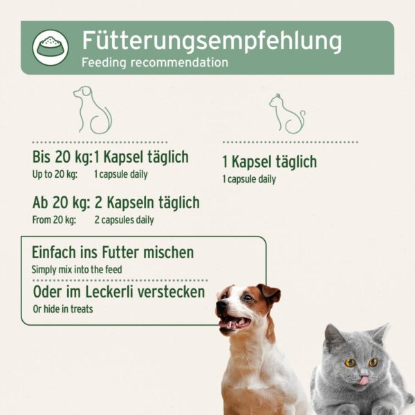 AniForte Lachsöl Kapseln für Hunde & Katzen 200 Stück – wertvolles Omega-3 Fischöl, Stoffwechsel & Knochenaufbau unterstützend, Barf Ergänzung, glänzendes Fell, Vitamine, Salmon Oil Dogs – Bild 5