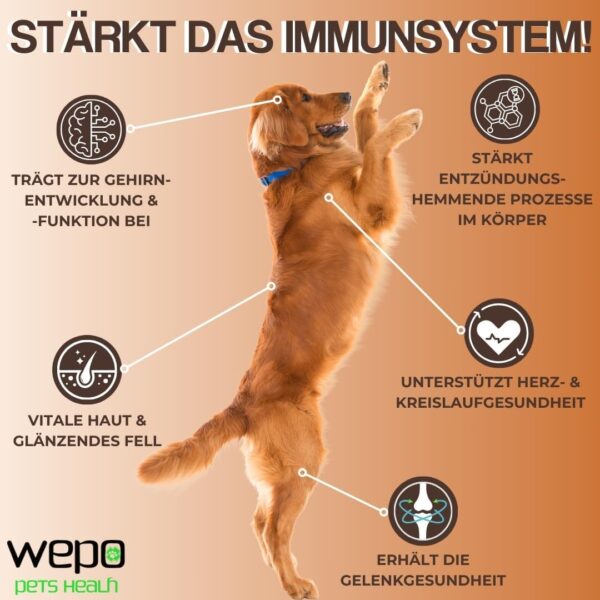 WEPO 3-6-9 Barf Hunde-Öl Premium-Qualität - 100% natürliches Omega 3 6 9 Fell- Haut- Haar- Öl 500ml – Bild 3