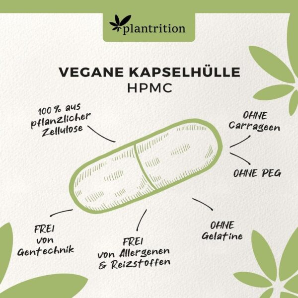plantrition Magnesium Kapseln 775 mg davon 100 mg elementares Magnesiumglycinat pro Kapsel - Magnesium-Bisglycinat hochdosiert - 120 Vegane Kapseln – Bild 4