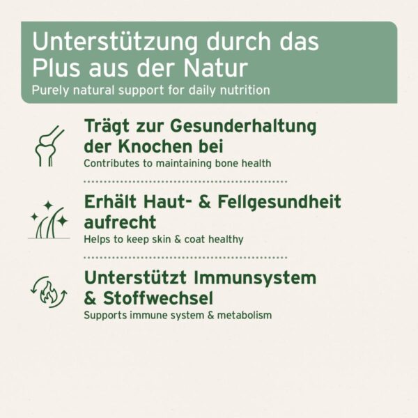 AniForte Lachsöl Kapseln für Hunde & Katzen 200 Stück – wertvolles Omega-3 Fischöl, Stoffwechsel & Knochenaufbau unterstützend, Barf Ergänzung, glänzendes Fell, Vitamine, Salmon Oil Dogs – Bild 4