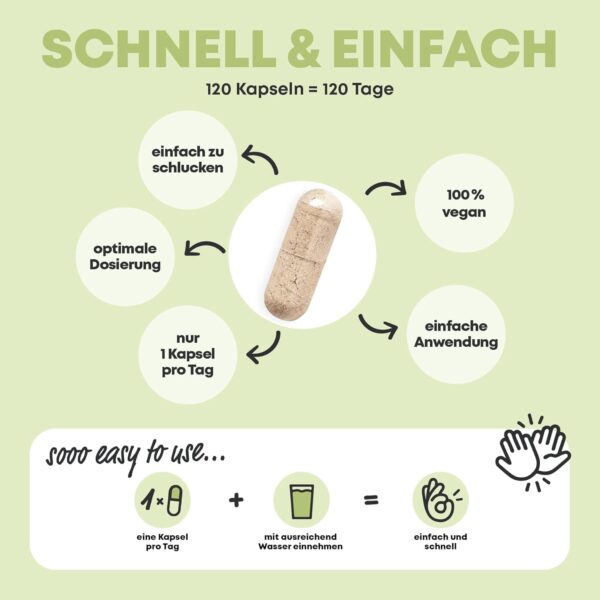 Vegan Multivitamin & Mineralien mit 14 Vitaminen u.a. B12, Jod, Eisen, Cholin (120 Kapseln hochdosiert) für Veganer & Vegetarier - Vegan Supplements - Vegetarier Vitamine - Multivitamin vegan – Bild 7