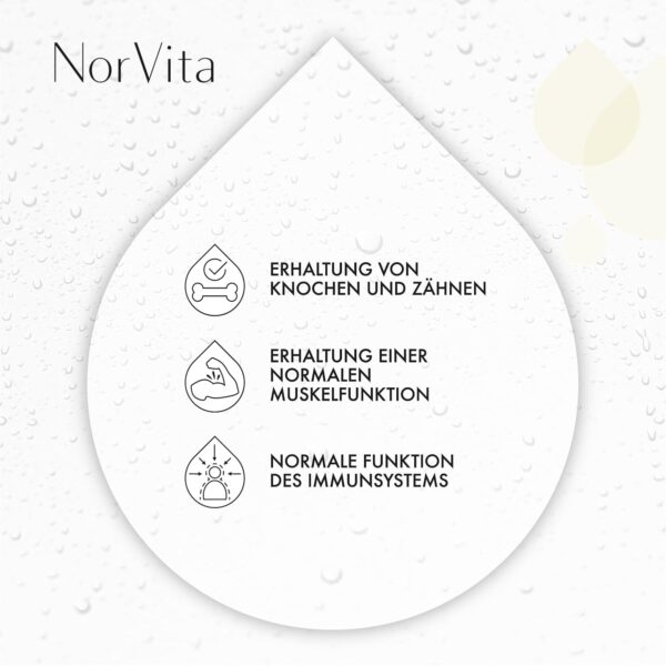 NorVita Vitamin D3 Spray 4000 IE – Nur ein Sprühstoß alle 4 Tage, hochdosiert, vegan, hohe Bioverfügbarkeit – Natürliches Waldfruchtaroma, ohne Zusatz von Konservierungsmitteln oder künstlichen Aromen – Bild 5