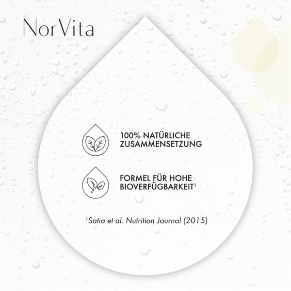 NorVita Vitamin D3 Spray 4000 IE – Nur ein Sprühstoß alle 4 Tage, hochdosiert, vegan, hohe Bioverfügbarkeit – Natürliches Waldfruchtaroma, ohne Zusatz von Konservierungsmitteln oder künstlichen Aromen – Bild 6