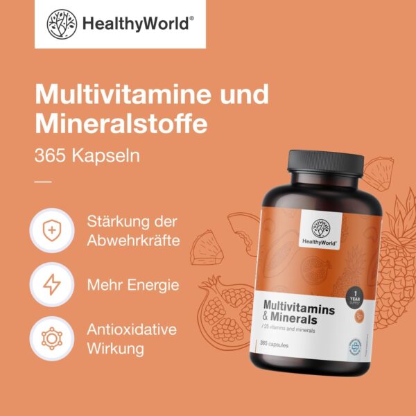 HealthyWorld Multivitamine & Mineralstoffe - 25 Vitamine & Mineralstoffe - 365 Kapseln - Jahresvorrat - Pflanzenkapseln - Immunsystem - mehr Energie- wertvolle Vitamine A-Z - Für Männer & Frauen – Bild 3
