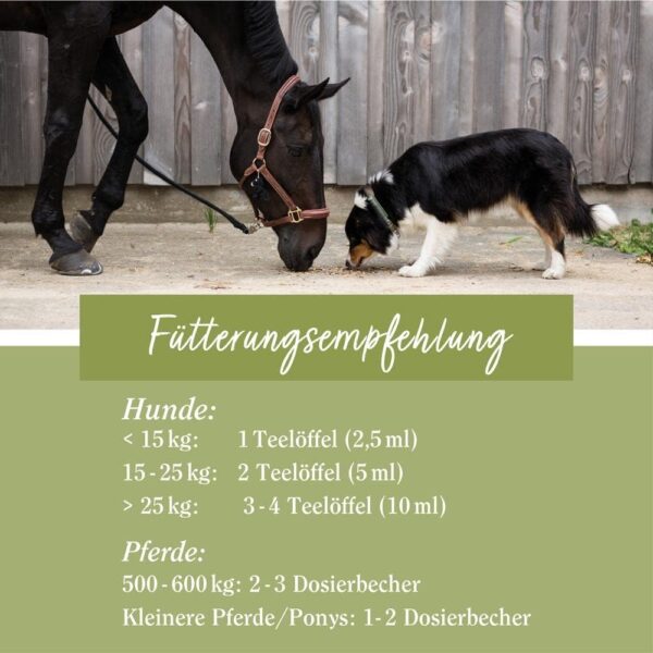 tierlieb Omega-3-6-9 Leinöl für Pferde & Hunde | Reich an ungesättigten essenziellen Fettsäuren | Mit natürlichem Vitamin E | 1 Liter – Bild 3