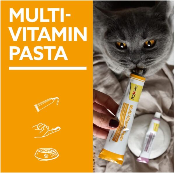 GimCat Multi-Vitamin Paste - Gesunder Katzensnack aktiviert Abwehrkräfte und stärkt das Immunsystem - 1 Tube (1 x 200 g) (Packung mit 2) – Bild 4