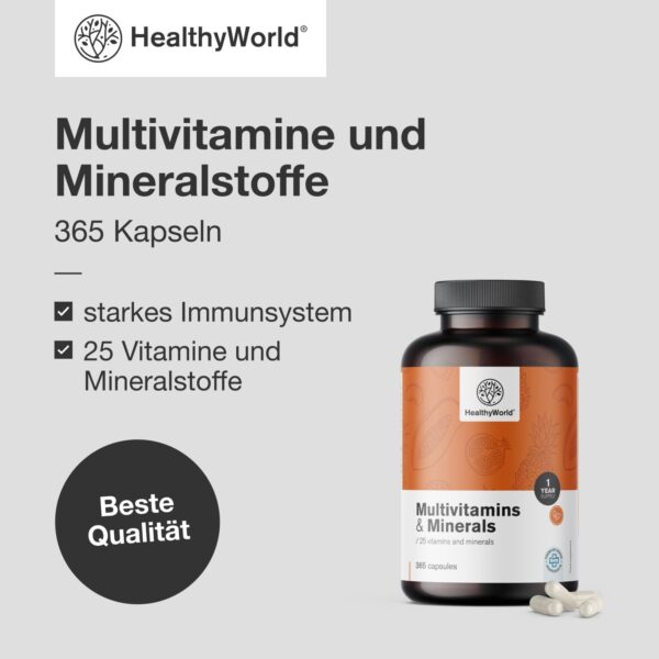 HealthyWorld Multivitamine & Mineralstoffe - 25 Vitamine & Mineralstoffe - 365 Kapseln - Jahresvorrat - Pflanzenkapseln - Immunsystem - mehr Energie- wertvolle Vitamine A-Z - Für Männer & Frauen – Bild 2