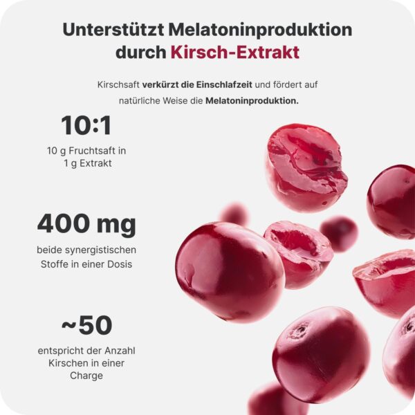 Vilgain Sleep Support – Natürliche Schlafhilfe mit Pflanzenextrakten & L-Tryptophan, fördert Melatonin, schnelleres Einschlafen, bessere Schlafqualität, 90 Kapseln – Bild 3