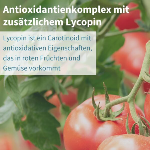 Advanced Multivitamin Tabletten für Männer, 21 Vitamine & Mineralien, angereichert mit Lycopin, Vitamin D, methyliertem B6 und B12 für Energie, Langzeitformel, 180 Tabletten, von Igennus – Bild 4