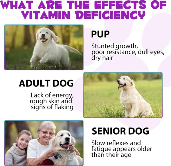 15-in-1-Multivitamintropfen für Hunde, Vitamine und Nahrungsergänzungsmittel für Hunde, natürliche Multivitamine und Mineralien– Glucosamin, MSM Hüfte und Gelenke, Immunsystem – Bild 5
