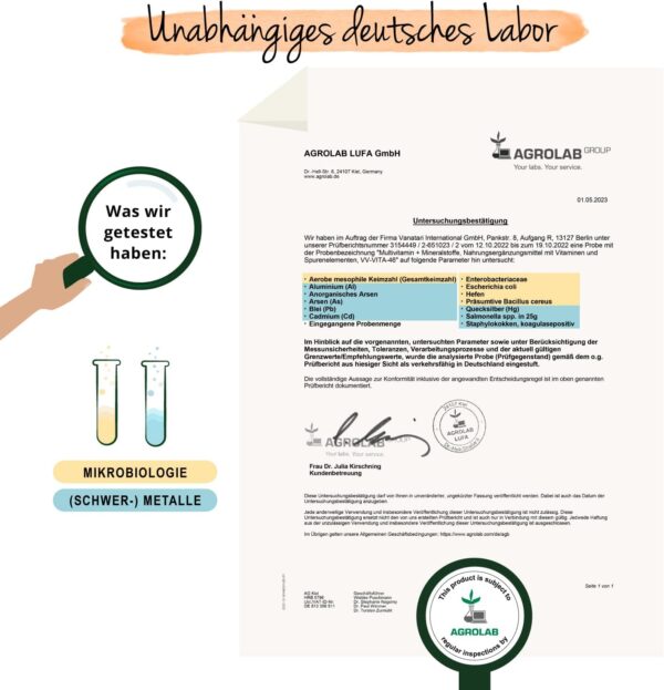 Multivitamin Kapseln Vegavero® | Immunabwehr & Energie* | Hochdosiert | Wichtige A-Z Vitamine & Mineralien | B-Vitamine, Eisen, Jod & Co | Ohne Zusatzstoffe | Laborgeprüft | Vegan | 120 Stück – Bild 6