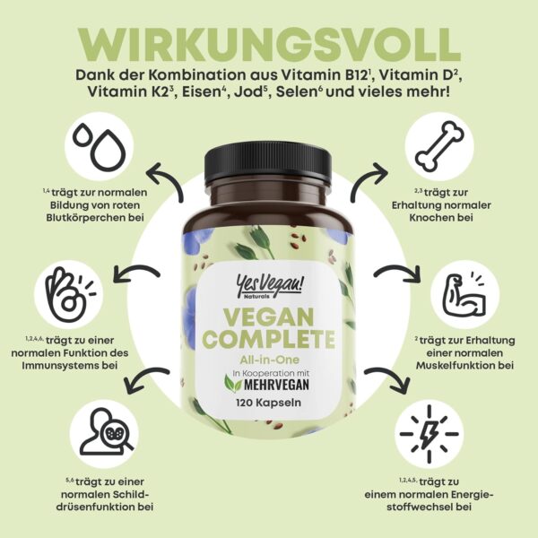 Vegan Multivitamin & Mineralien mit 14 Vitaminen u.a. B12, Jod, Eisen, Cholin (120 Kapseln hochdosiert) für Veganer & Vegetarier - Vegan Supplements - Vegetarier Vitamine - Multivitamin vegan – Bild 3