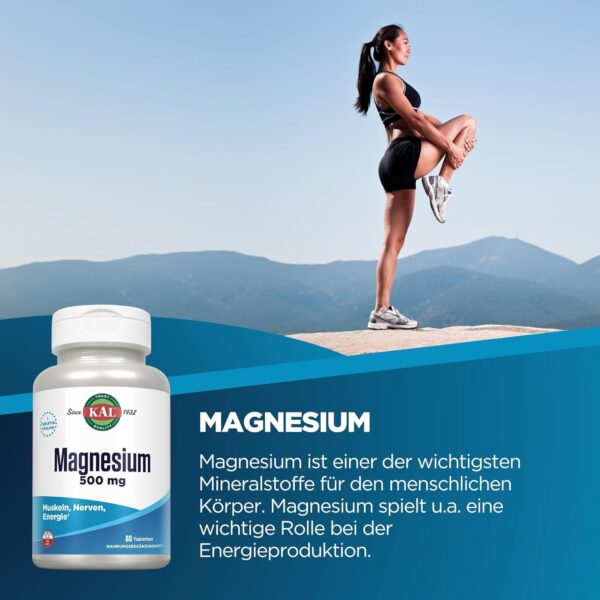 KAL Magnesium | 500 mg | 60 Tabletten | laborgeprüft | Nahrungsergänzungsmittel mit L-Arginin und L-Glutamin | Energieproduktion des Körpers | Gesunde Funktion von Nerven & Muskeln – Bild 2