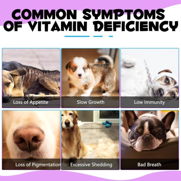 15-in-1-Multivitamintropfen für Hunde, Vitamine und Nahrungsergänzungsmittel für Hunde, natürliche Multivitamine und Mineralien– Glucosamin, MSM Hüfte und Gelenke, Immunsystem – Bild 7