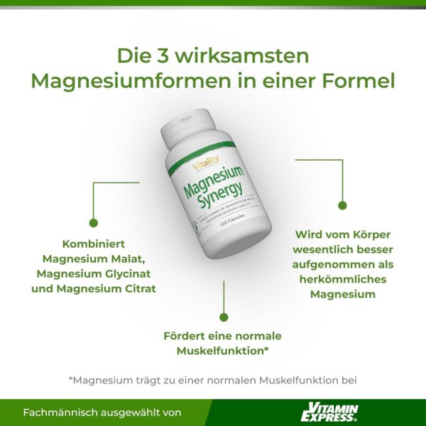 Magnesium Synergy 3-Fach Power: Magnesium Citrat, Glycinat & Malat (120 Kapseln) Muskeln Energie Stoffwechsel, Magnesium Kapseln Hochdosiert, Laborgeprüft Vitality Nutritionals von Vitamin Express – Bild 2
