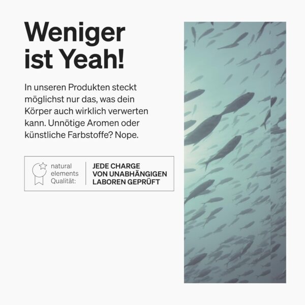Omega 3 vegan aus Algenöl - 90 Kapseln - Hochdosiert mit hochwertigem EPA und DHA (in Triglycerid-Form) - Omega-3 für Veganer, Laborgeprüft, nachhaltig und von Natur aus schadstoffarm – Bild 4