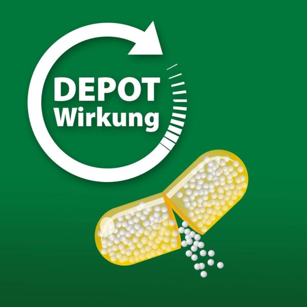VITAMIN C 300 Depot + Zink + Histidin + Vitamin D Kapseln, für ein gesundes Immunsystem, langanhaltender Depot-Effekt, Laborgeprüft, MADE IN GERMANY – Bild 3
