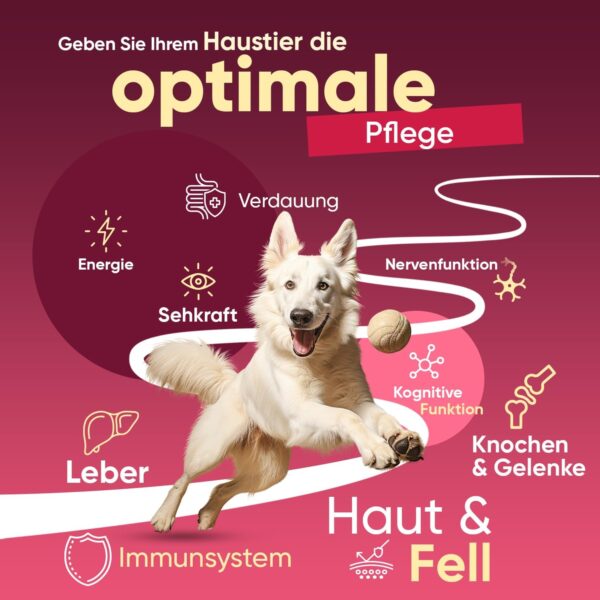 animigo Vitamine für Hunde & Katzen - 365 Multivitamin Tabletten - Mit Vitamin B Komplex (B1, B2, B3, B5, B6, Biotin, B9, B12), C & D3-18 Mineralien & Vitamine - Für Gelenke, Immunsystem, Knochen – Bild 3