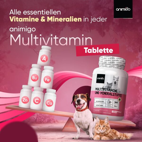 animigo Vitamine für Hunde & Katzen - 365 Multivitamin Tabletten - Mit Vitamin B Komplex (B1, B2, B3, B5, B6, Biotin, B9, B12), C & D3-18 Mineralien & Vitamine - Für Gelenke, Immunsystem, Knochen – Bild 4