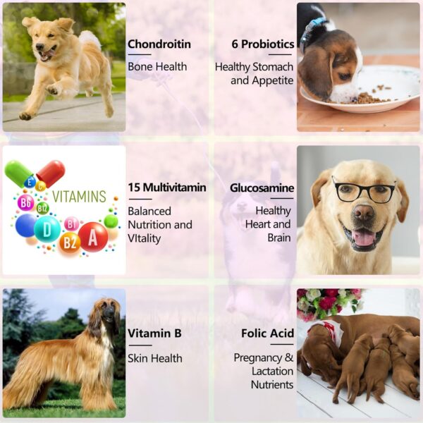 15-in-1-Multivitamintropfen für Hunde, Vitamine und Nahrungsergänzungsmittel für Hunde, natürliche Multivitamine und Mineralien– Glucosamin, MSM Hüfte und Gelenke, Immunsystem – Bild 6