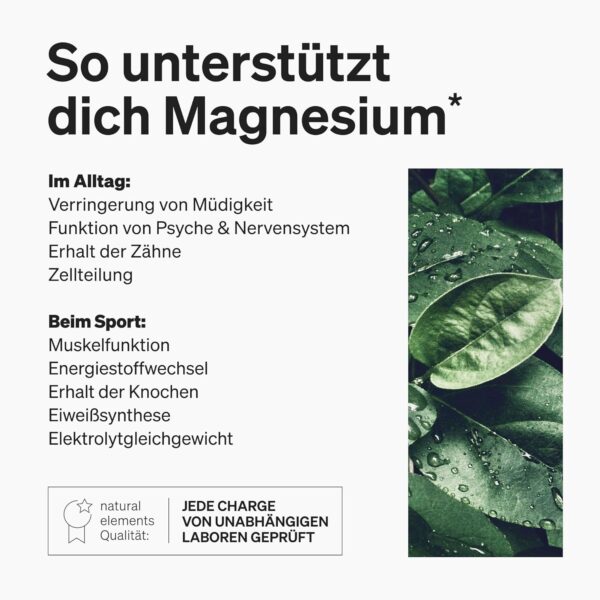 Magnesium Komplex - Premium: Aus 5 hochwertigen Verbindungen - 400mg elementares Magnesium pro Tagesdosis - Laborgeprüft, vegan, hochdosiert – Bild 5