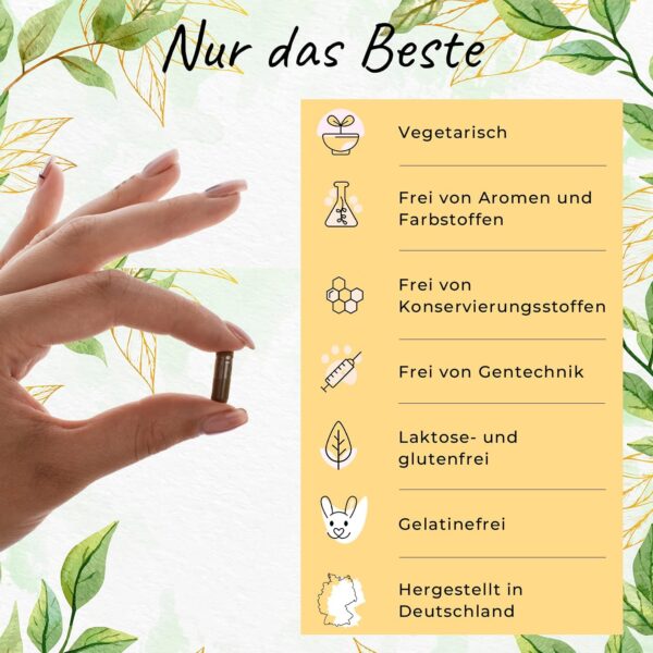 Platural® Vitamin D3 + K2 + K1 - Premium: 99,7+% All-Trans Vitamin K2 MK7 + 1000 IE Vitamin D + hoch bioverfügbares Vitamin K1-60 Kapseln - hochwertig, laborgeprüft – Bild 4