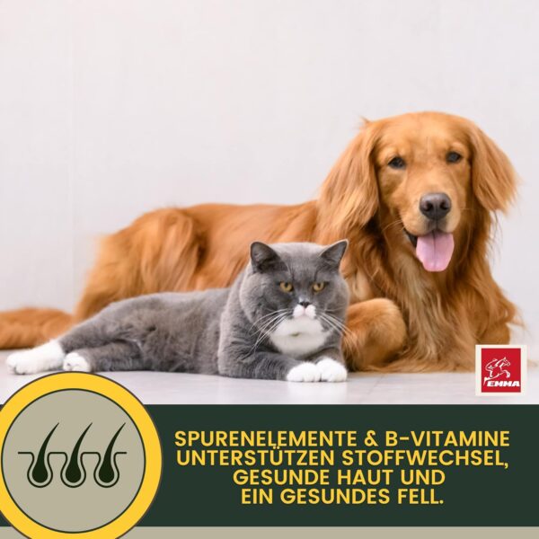 Multi Vitamin B Komplex Hund I Vitamine für Hunde 100ml I Vitamin B hochdosiert für Hunde mit B Vitamine Vitamin A B12 C E I Vitalität für Senioren Welpen Vitamin-Booster Immunsystem stärken Hund – Bild 10