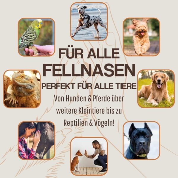 WEPO 3-6-9 Barf Hunde-Öl Premium-Qualität - 100% natürliches Omega 3 6 9 Fell- Haut- Haar- Öl 500ml – Bild 7