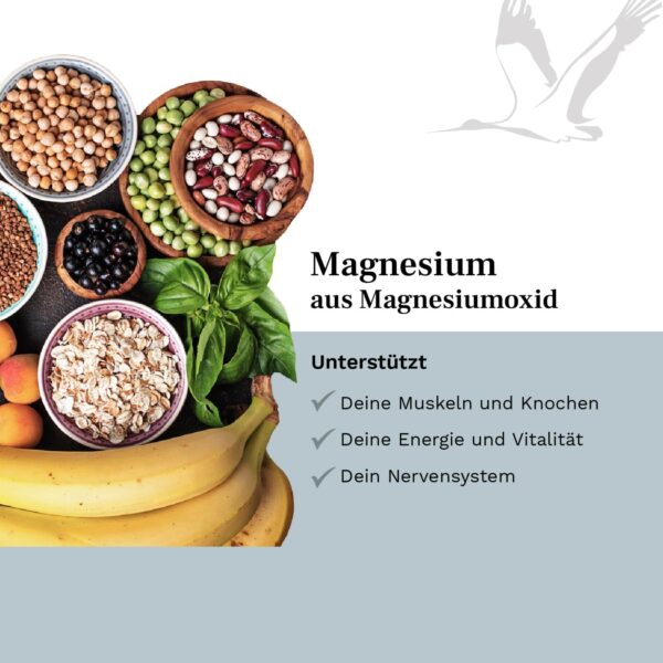 Magnesium Kapseln - 365 Stück (1 Jahr) - 667 mg Magnesium-Oxid, davon 400 mg ELEMENTARES reines Magnesium - ohne Zusatzstoffe - laborgeprüft - Made in Germany - Balanced Vitality – Bild 3