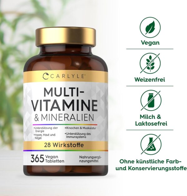 Multivitamin Tabletten Hochdosiert mit 28 Vitamine & Mineralien | 365 Vegane Stk | Immunsystem & Blutdruck (EFSA) | Nahrungsergänzungsmittel Frauen & Männer | Mineralstoffe Komplex | von Carlyle – Bild 6