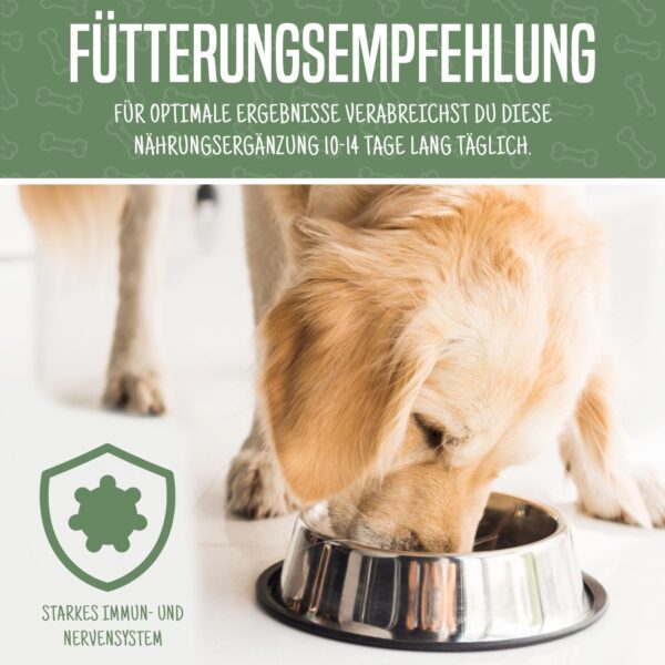 TRADIDOG Classic Nahrungsergänzungen & Vitamine für Hund mit Vitalstoffen - Gesundheitsprodukte für Hunde inkl. Omega-3 Öl Hund - pflanzliches Nahrungsergänzungsmittel Hund für alle Hunde – Bild 5
