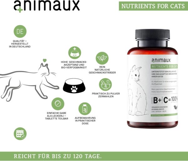 animaux Nutrients for Cats – 120 Kautabletten – Vitamine für Katzen, Unterstützung für Stoffwechsel, Immunsystem, Haut & Fell, mit Vitamin B Komplex, Omega 3, Zink & mehr – Bild 3