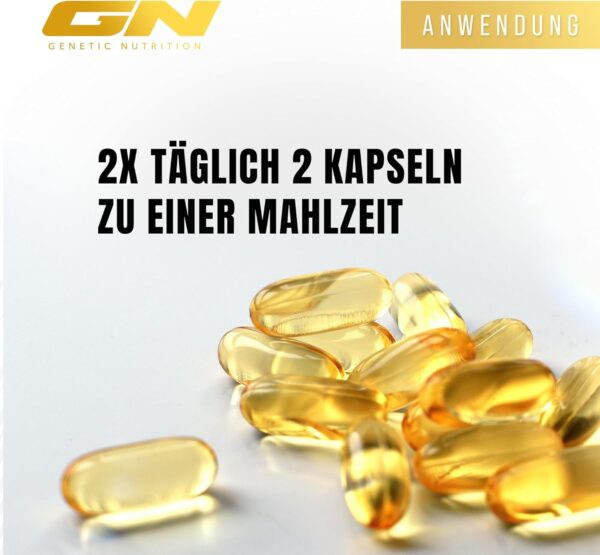GN Laboratories Omega 3 – Fischöl Kapslen mit 4000mg (2000 mg EPA & 1000 mg DHA) pro Tagesdosis – 200 Softgels – ohne Vitamin E – Aufwendig gereinigt, aus kontrolliertem Fischfang – Laborgeprüft – Bild 4