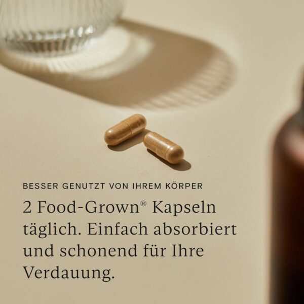 WILD NUTRITION ​​Food-Grown® Tägliches Multivitamin für Männer, Zink und Vitamin C zur Muskelregeneration + Energie & Immun-Support | Breitspektrum Multivitamine für Männer | 60 Kapseln – Bild 4