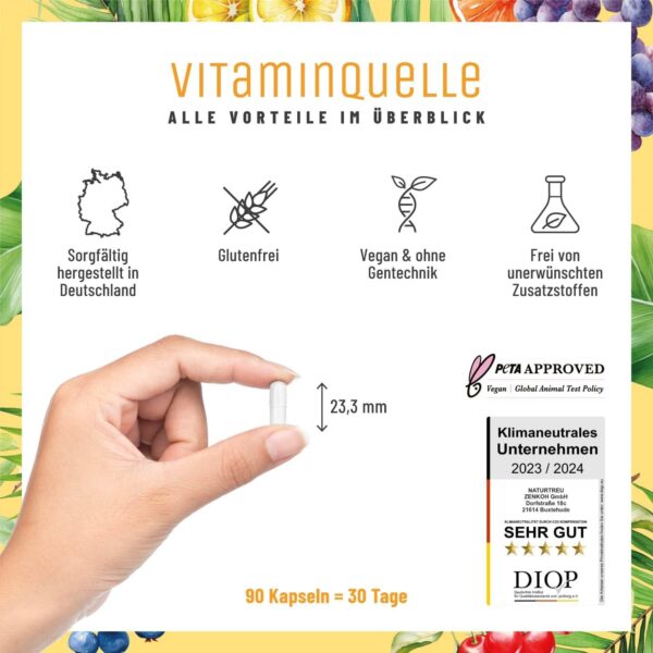 All in One Multivitamin & Mineralien Komplex - 35 wertvolle A-Z Vitamine und Mineralstoffe - Multi Vitamin Kapseln hochdosiert - Vegan und ohne unnötige Zusatzstoffe – Bild 5