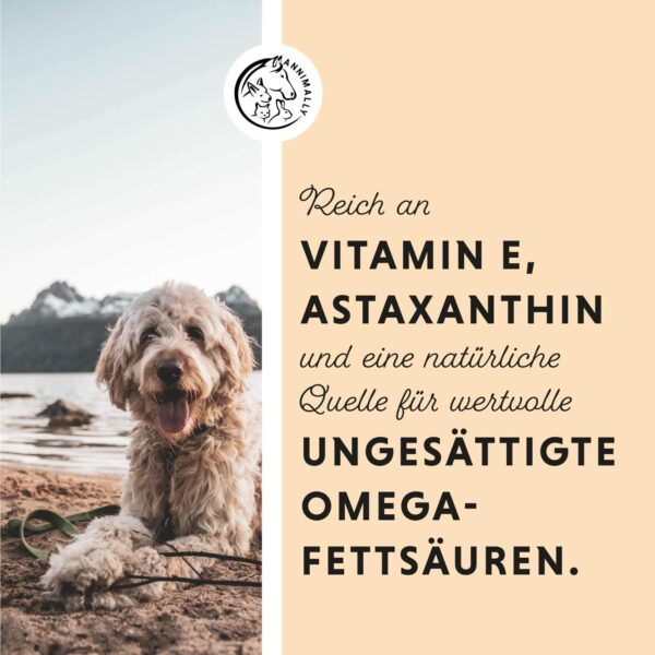 Annimally Lachsöl für Hunde 250 ml reich an Omega 3 & 6 Fettsäuren (mehr als 32%) - Barf Fischöl für Hund und Katze geeignet I Reines Naturprodukt kaltgepresst aus Deutschland – Bild 3