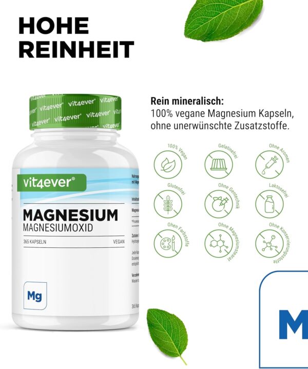 Magnesium - 365 Kapseln (12 Monate) - 665 mg je Kapsel, davon von 400 mg elementares Magnesium - Laborgeprüft - Hochdosiert - Ohne unerwünschte Zusätze - Vegan – Bild 3