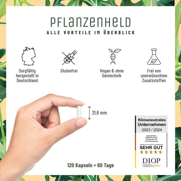 PFLANZENHELD Vegan Multivitamin Kapseln - 120 Kapseln für Veganer und Vegetarier - Daily Vitamins mit B12, Eisen, Zink, Calcium, Magnesium & Vitamin A – Bild 3