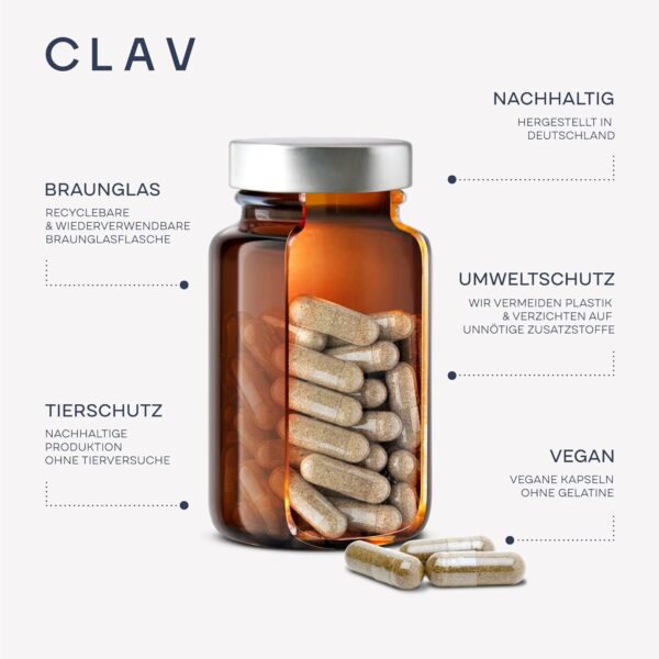 Multivitamin Kapseln hochdosiert - 30 wertvolle Vitamine A-Z, Mineralstoffe, Spurenelemente & Pflanzenextrakte - All In One Premium Multi Vitamine - natürlich & vegan – Bild 7
