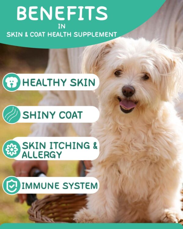 Haut und Fell für Hunde - Skin & Coat Omega 3 für Hunde- Fortschrittliche Formel für gesunde Haut und Glänzendes Fell - Reich an Lachsöl, Omega 3 & 6, Vitaminen - Geschmack Huhn – Bild 2