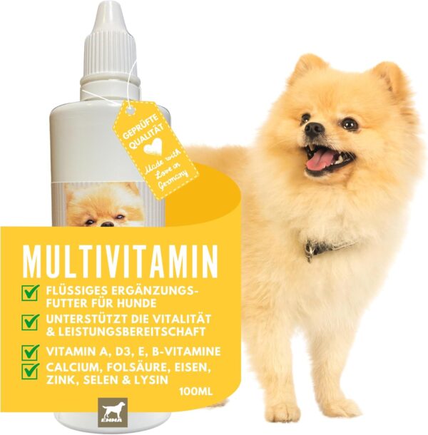 Multi Vitamin B Komplex Hund I Vitamine für Hunde 100ml I Vitamin B hochdosiert für Hunde mit B Vitamine Vitamin A B12 C E I Vitalität für Senioren Welpen Vitamin-Booster Immunsystem stärken Hund